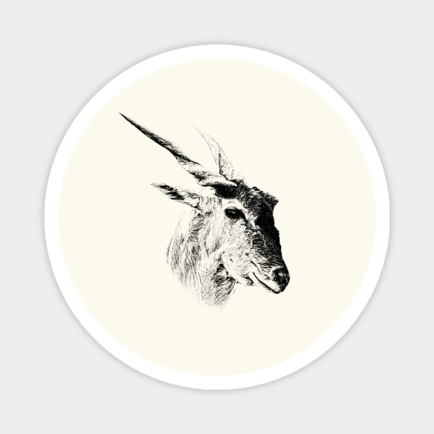 Eland antelope Magnet by Guardi